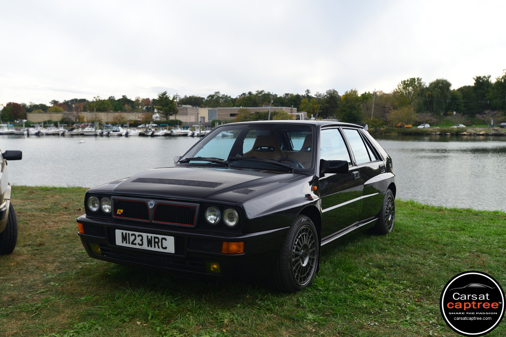 D8E_9731 copy.jpg